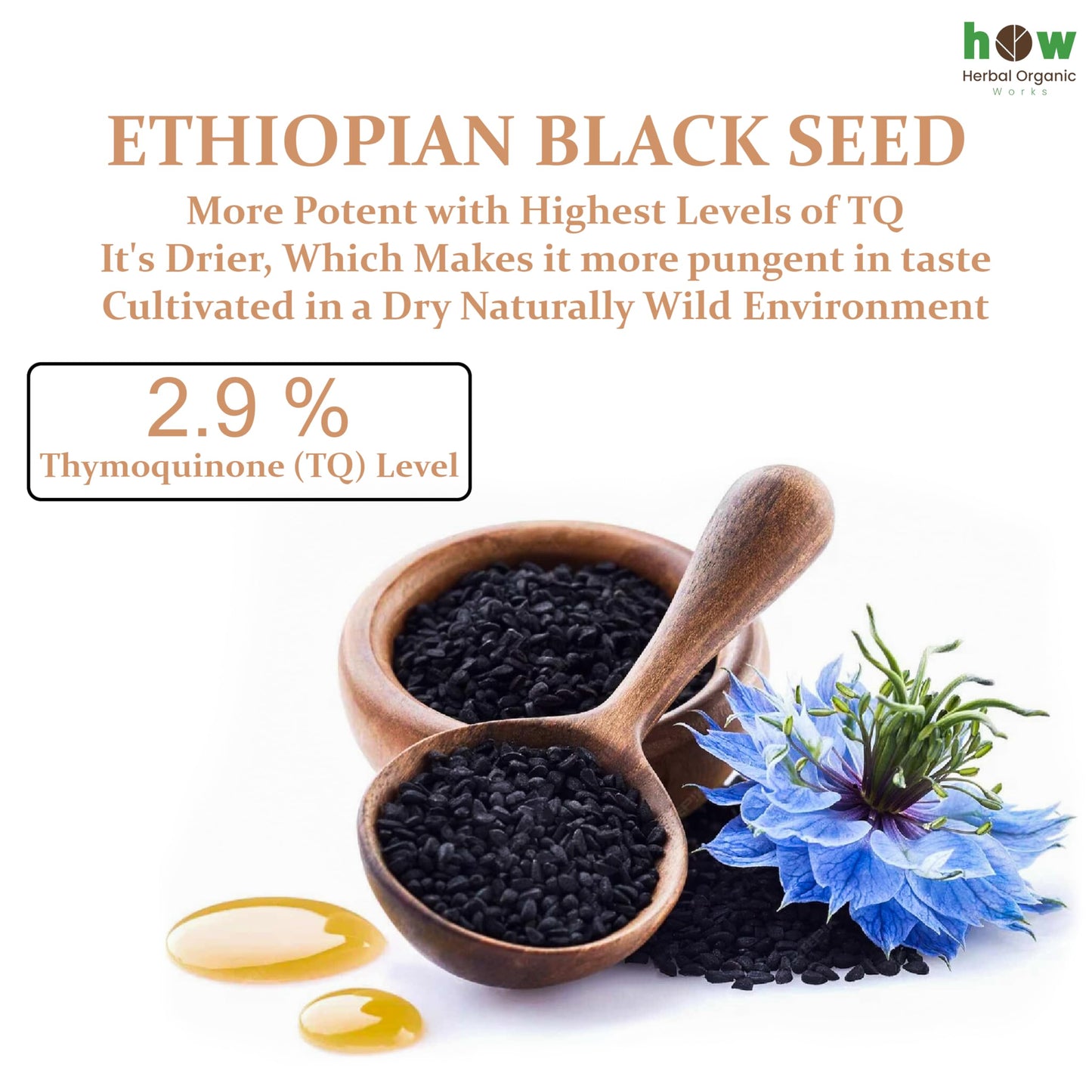 Black Seed Oil 8 oz – Cold Pressed Ethiopian Nigella Sativa (3X Thymoquinone) in Glass