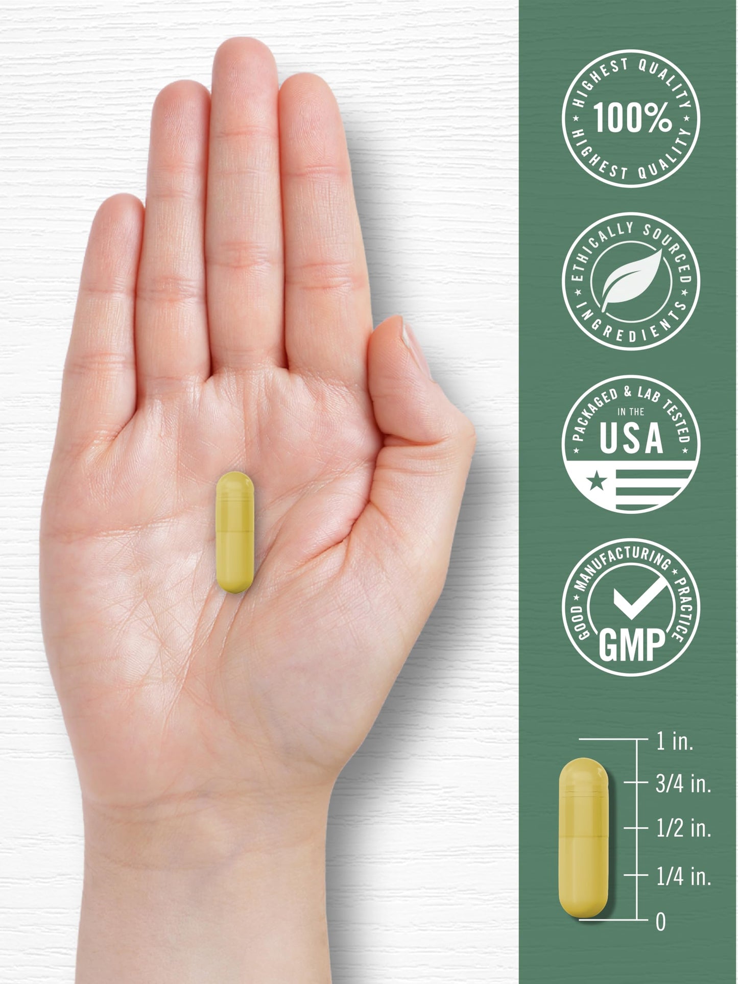 Carlyle Goldenseal Root Capsules 1000mg - 200 Count | Non-GMO & Gluten Free | Traditional Herb Supplement