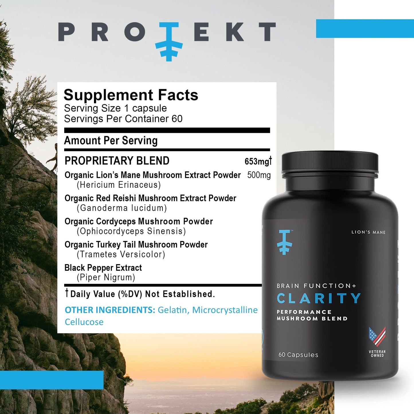 PROTEKT Lions Mane & Reishi Capsule Supplement – Brain Health, Focus & Memory | 60 Count