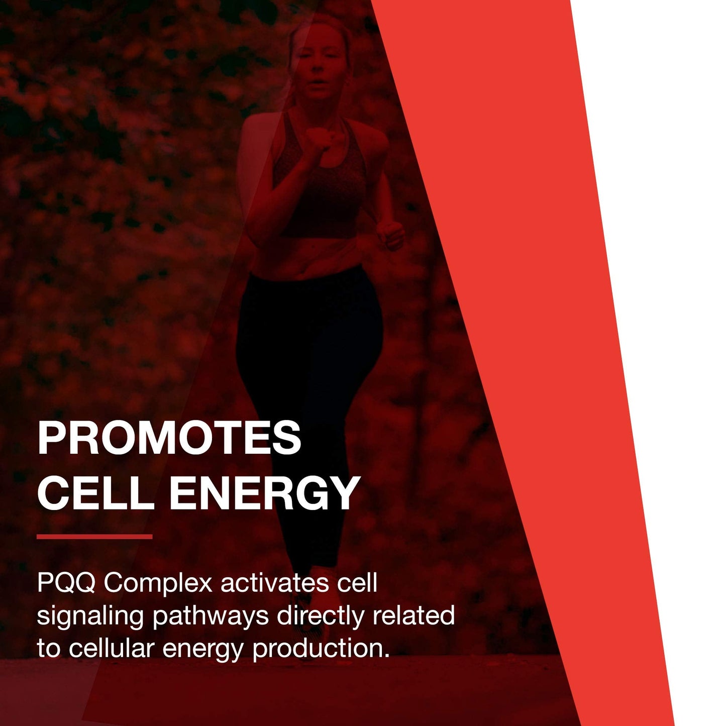 PROTOCOL FOR LIFE BALANCE PQQ Complex – Mitochondrial Health, CoQ10 & L-Carnitine – B Vitamins – 30 Veg Caps