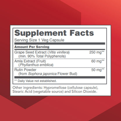 Protocol Grape Seed OPC 250mg - 90% Polyphenols - Rutin & Amla - 90 Veg Caps