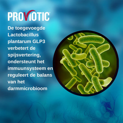 PROVIOTIC Vegan Probiotic Supplement – Patented Digestive Health & Immune Support