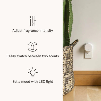 Pura 4 Smart Fragrance Diffuser Starter Set – Ginger Clementine & Mint