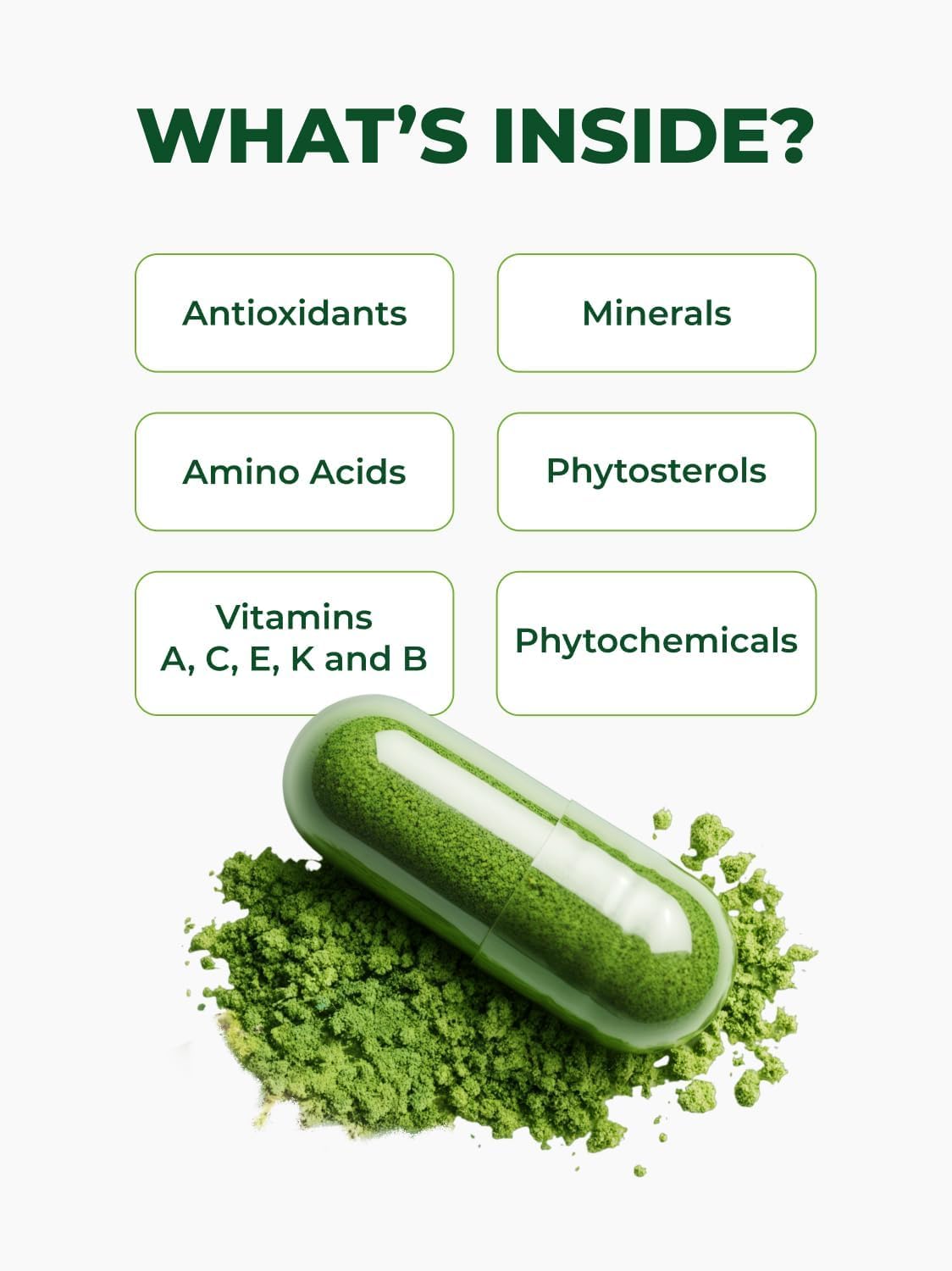 PURA VIDA MORINGA Capsules — Single Origin Organic Moringa Powder, 120 Count (500 mg) — Pack of 2