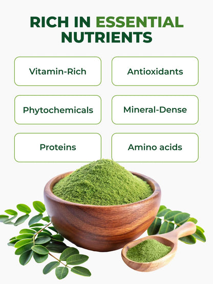 PURA VIDA Moringa Powder Organic – Single Origin Moringa Leaf Powder (USDA Organic) 8 oz