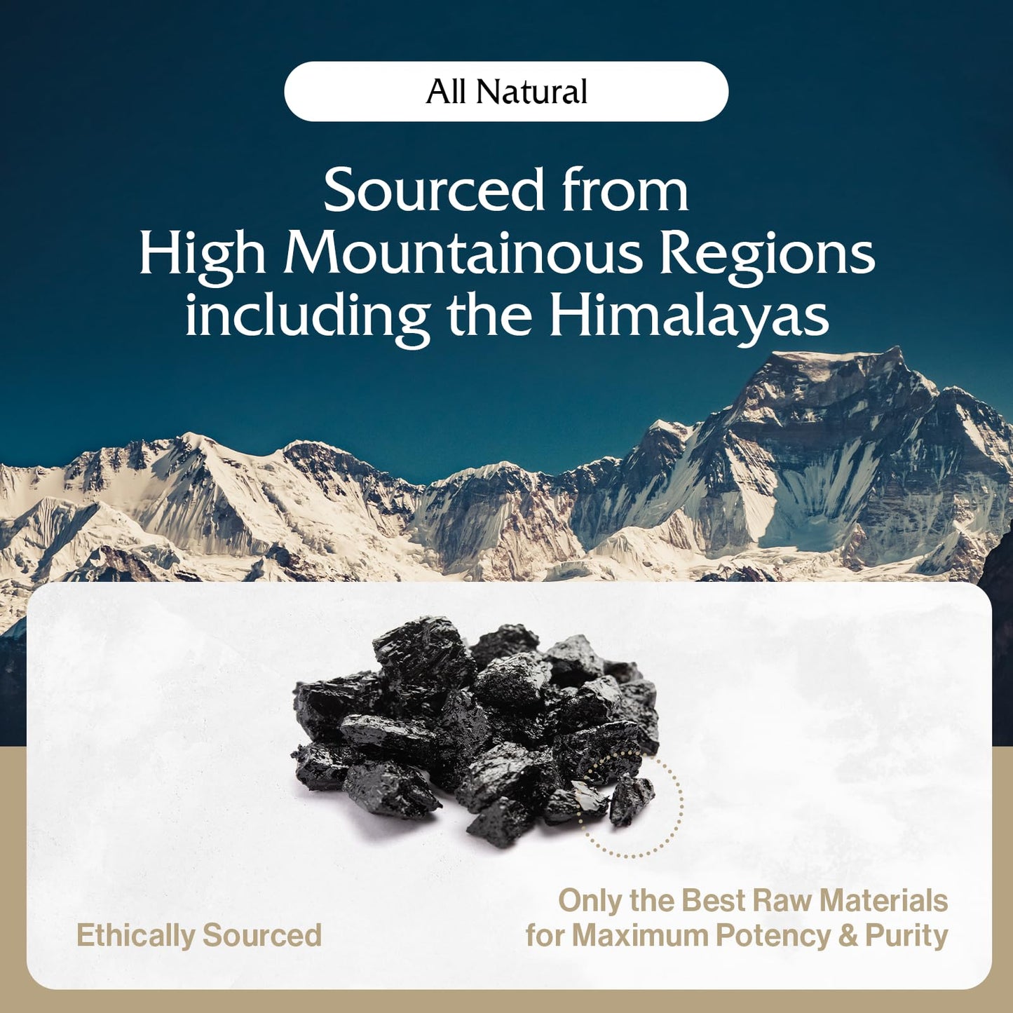 Pürblack Live Resin Pure Gold Shilajit – Organic, 80+ Minerals, USA Made | 30 Servings