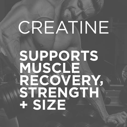 Purbolics Creapure Creatine Monohydrate Micronized 5 g – Rainbow Candy, 50 Servings per Pack (Pack of 2) | Elevate Workout Performance