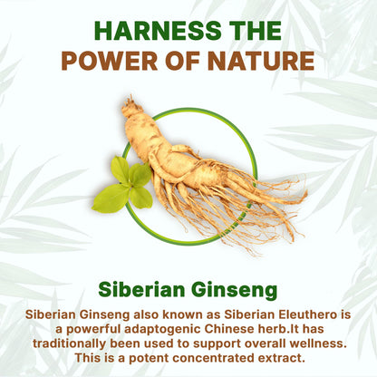 Go Nutra Siberian Ginseng - Eleuthero Root Powder 4:1 Extract | Energy & Stamina | Non-GMO | 4 oz