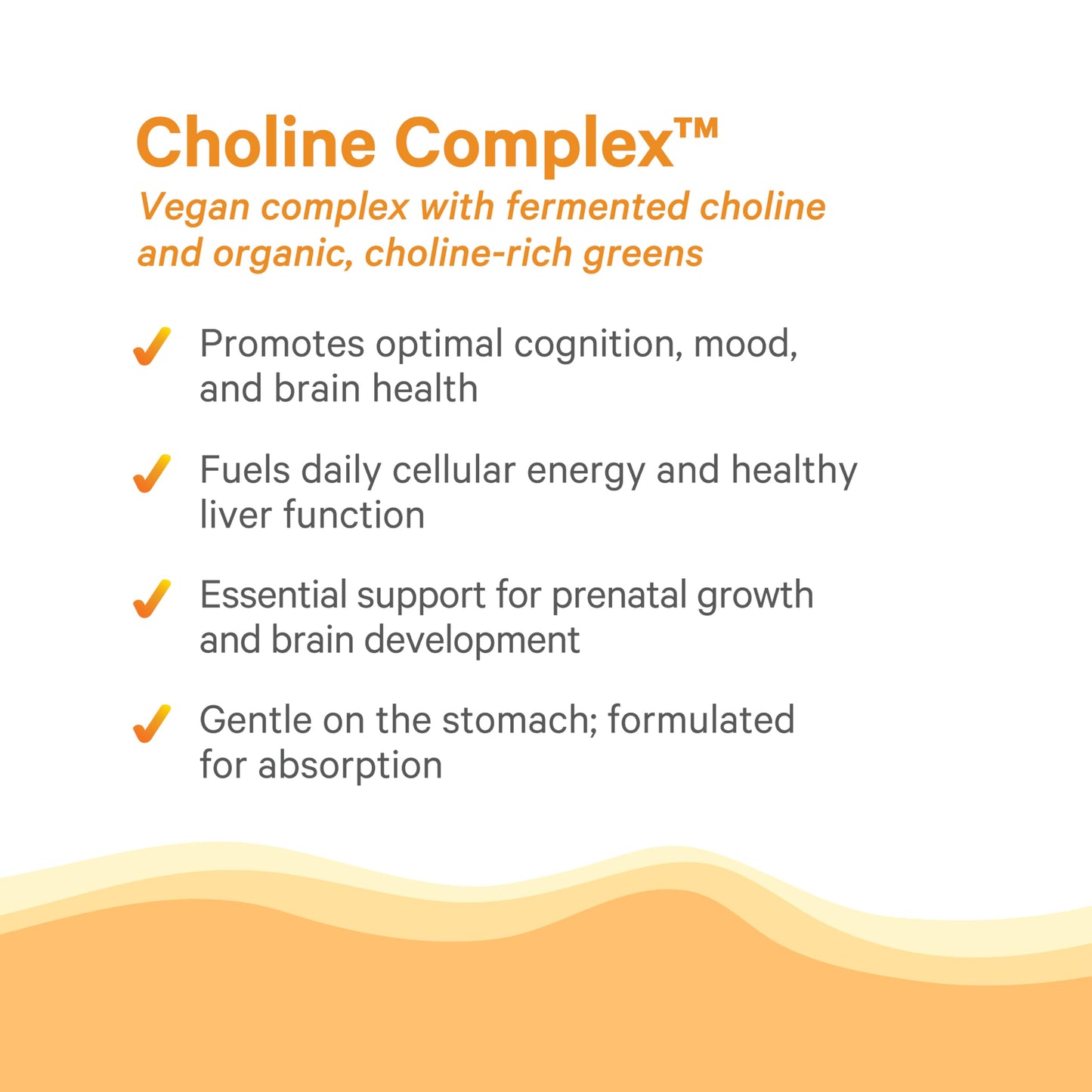 PURE SYNERGY Choline Complex | Vegan Organic Choline Supplement (60 Tablets)