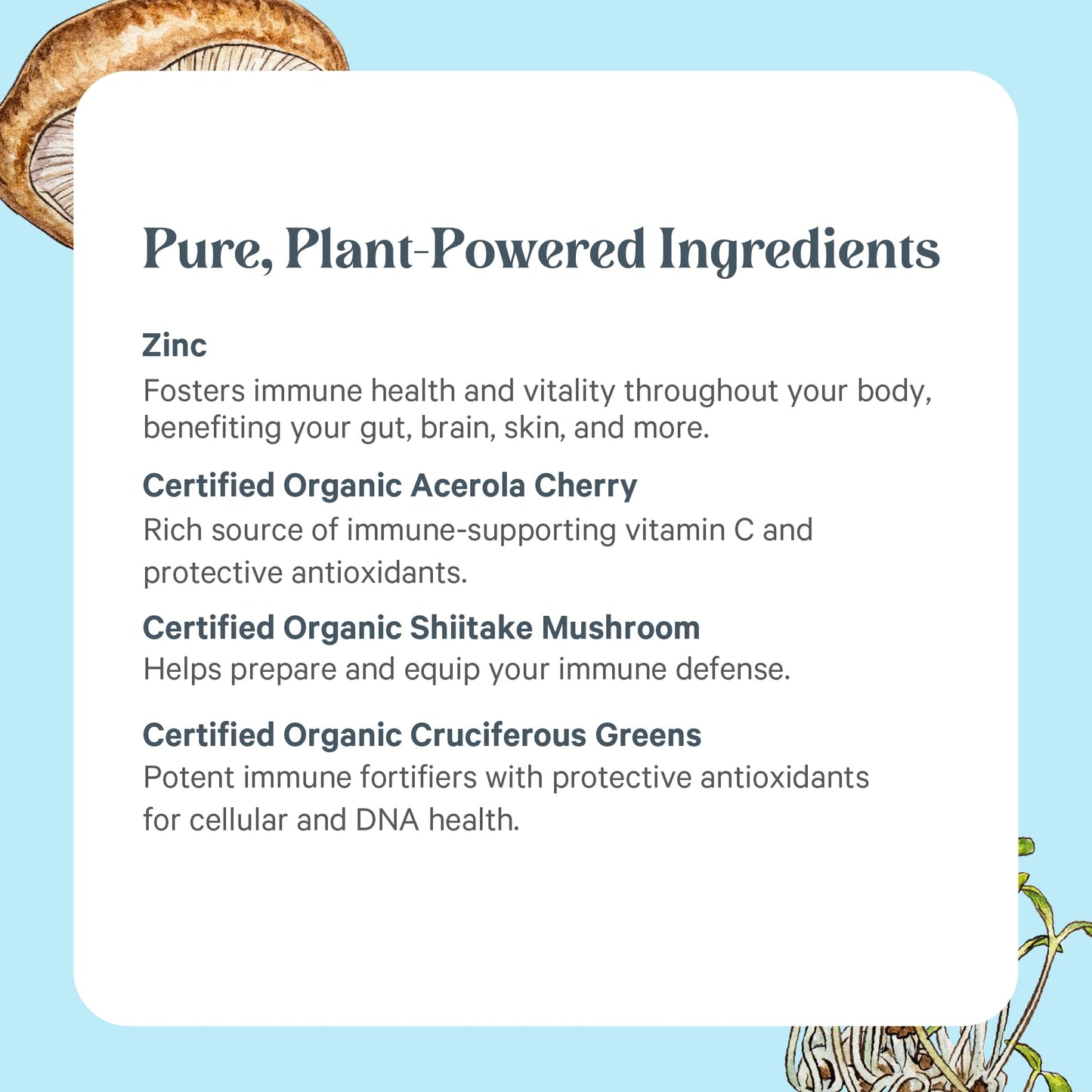Pure Synergy Zinc Complex – Immune Support, Vegan Zinc with Vitamin C (60 Capsules)