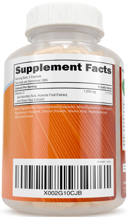Purely Holistic Vitamin C 1000mg Timed Release | 365 Capsules, 12-Month Supply | Vegan