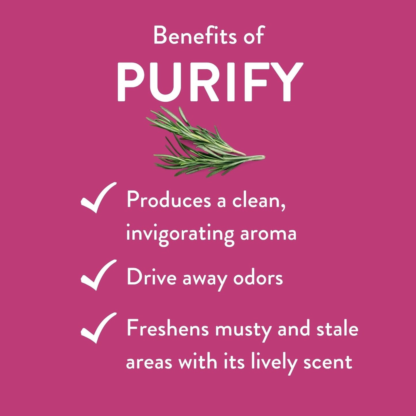 Purify Essential Oil Blend 30 mL | Revive Essential Oils – 100% Pure Therapeutic Grade