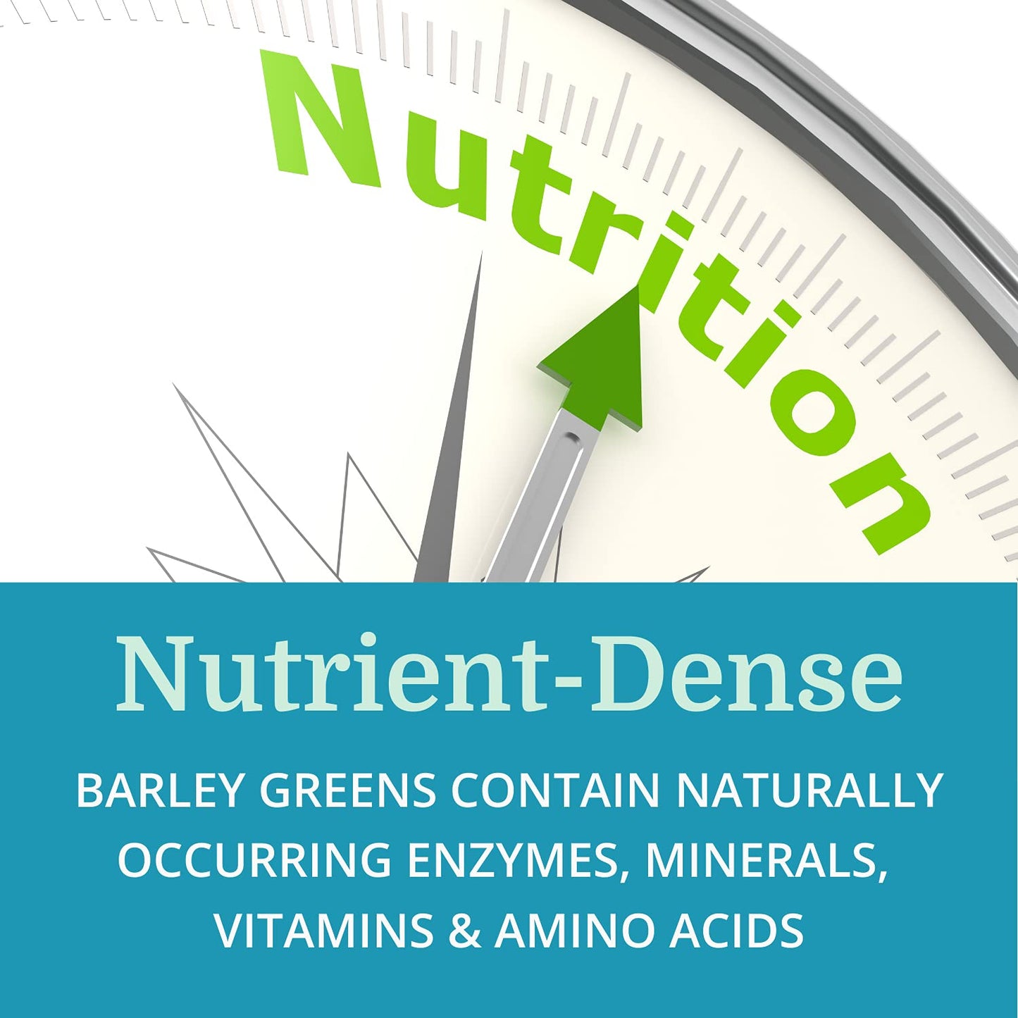 Morter HealthSystem AlkaGreen Tablets - Alkaline Barley Grass