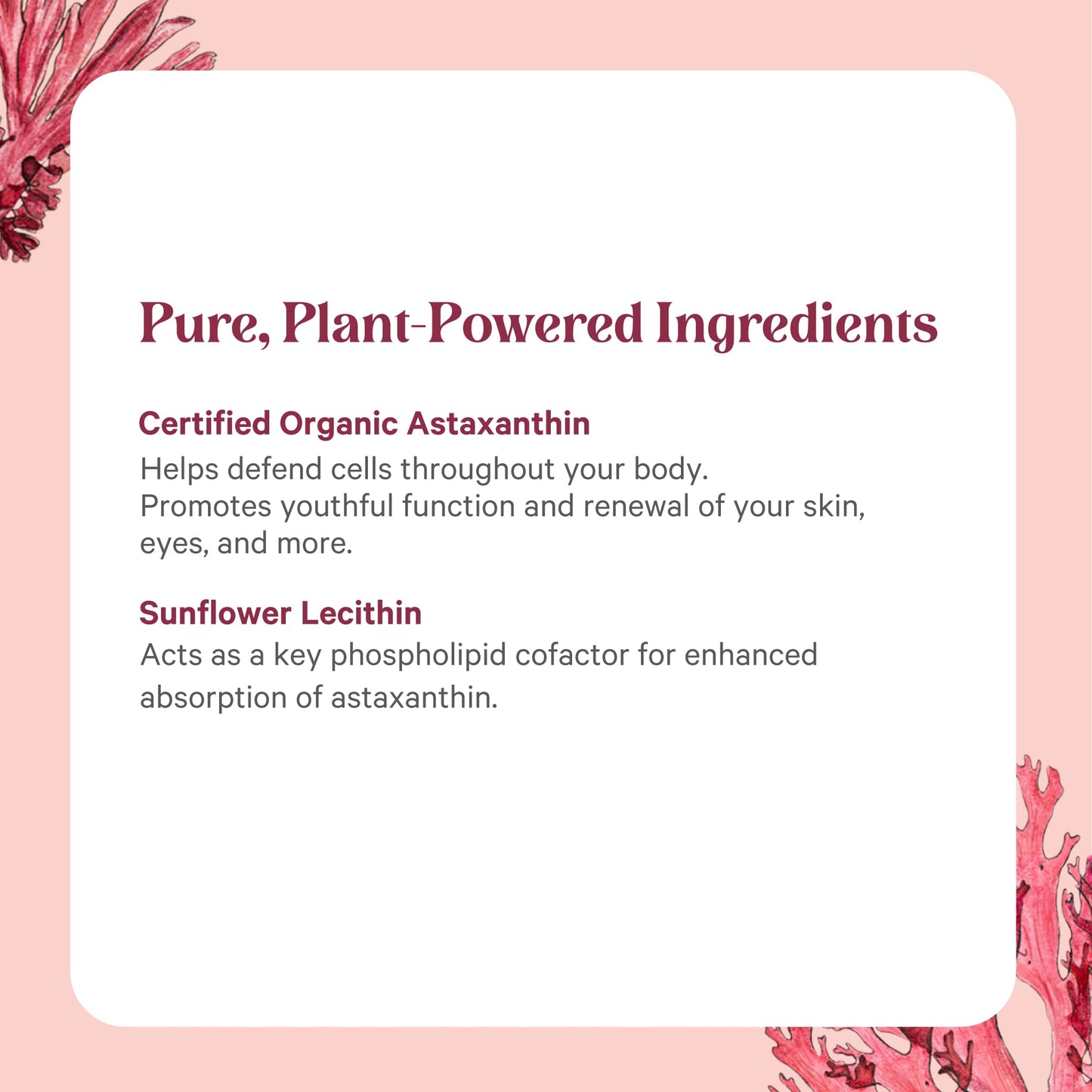 PURE SYNERGY SuperPure Astaxanthin Extract – Organic Algae Astaxanthin