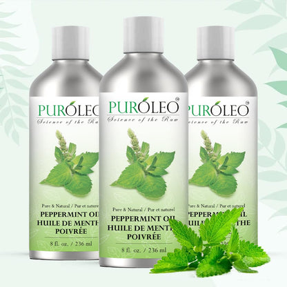 PURÓLEO Peppermint Essential Oil – Pure & Undiluted, 8 oz (Canada Pack)