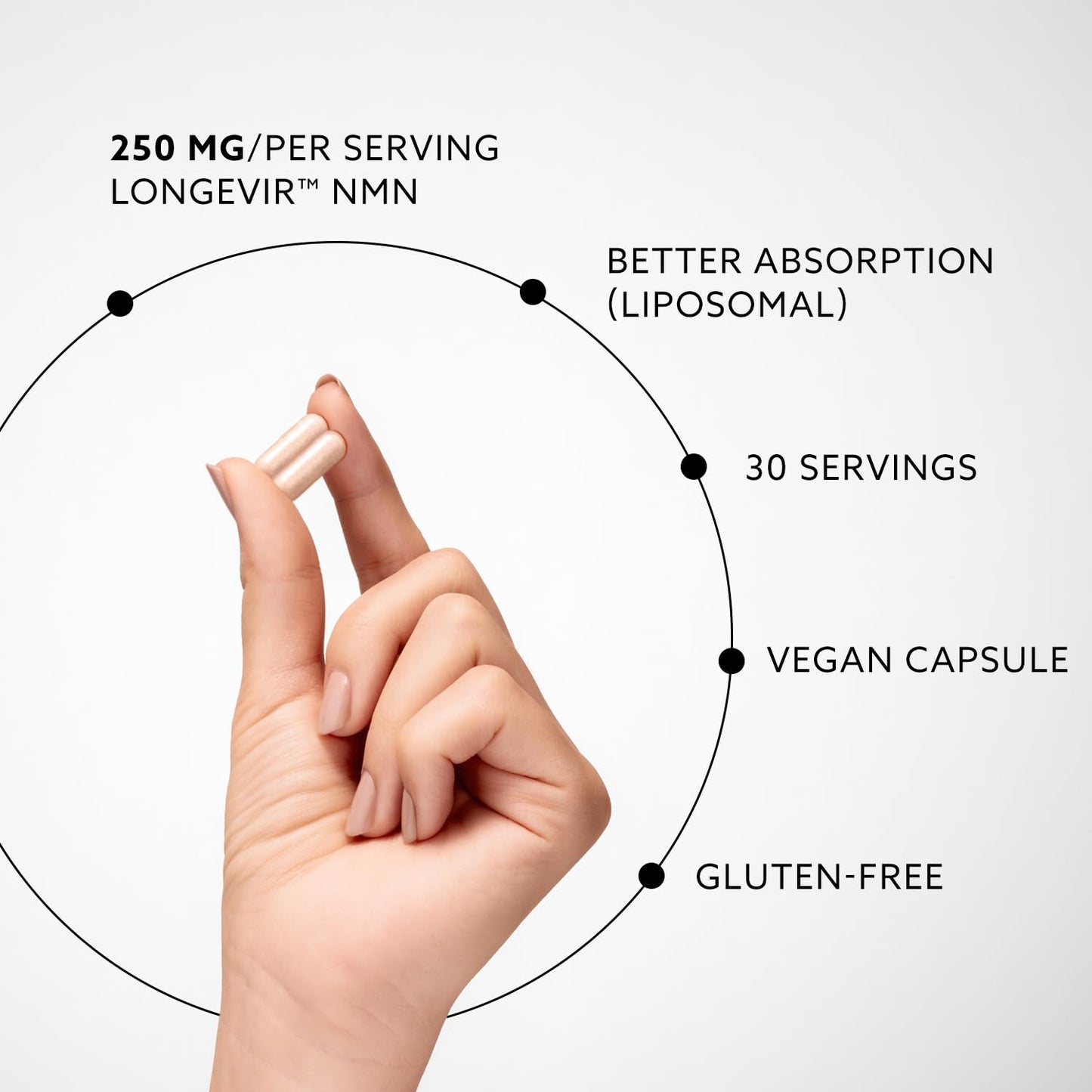 PUROVITALIS Liposomal NMN 250mg – Longevir NMN Supplement for NAD+ Boost, Cellular Health & Healthy Aging | 60 Vegan Capsules