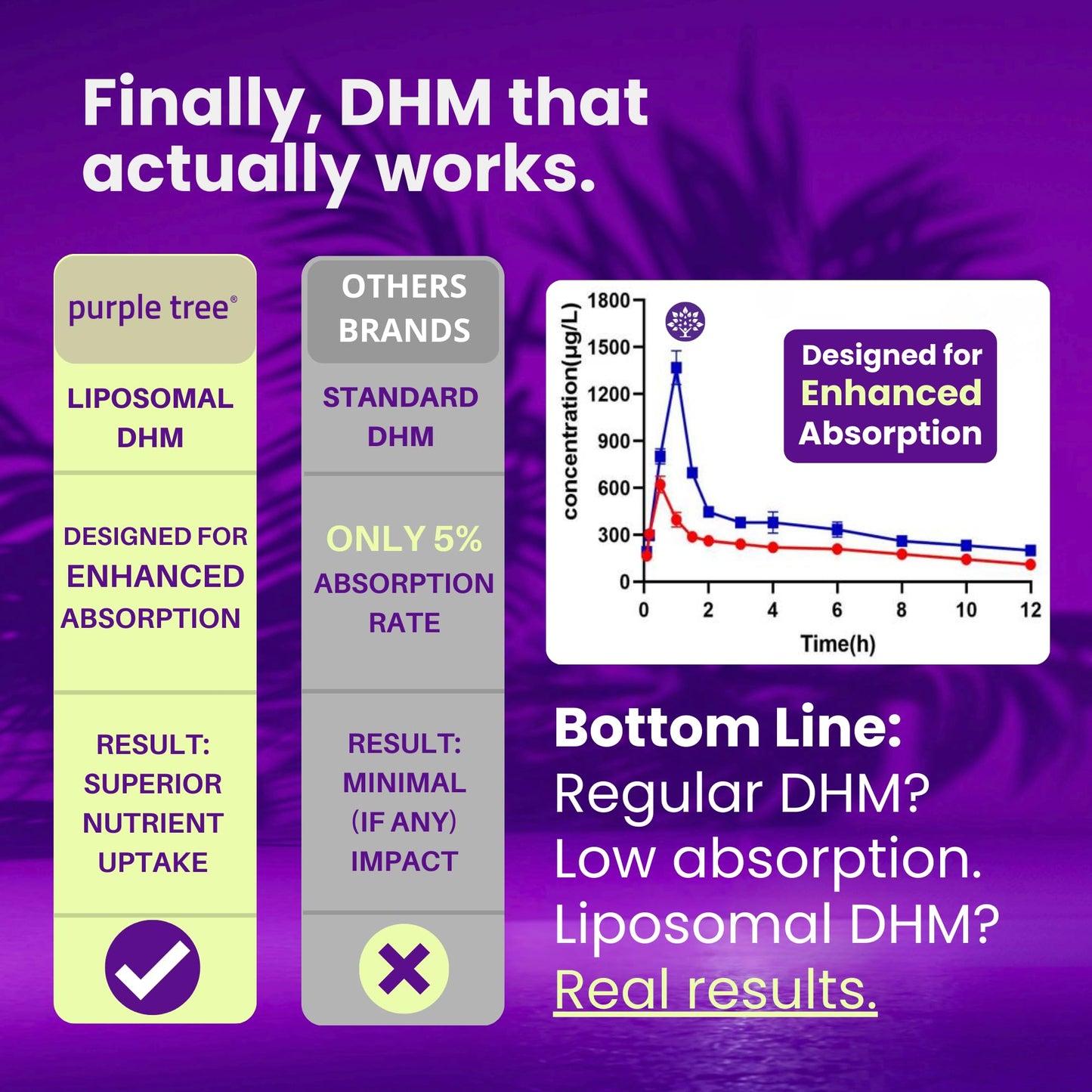 Purple Tree Post-Celebration Wellness Supplement | Liposomal DHM, Glutathione & Milk Thistle for Liver Support | 60 Capsules