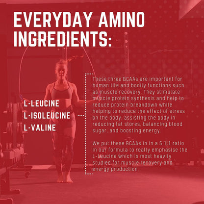 Purus Labs Everyday Amino BCAA Powder - Fresh Mango Tangerine