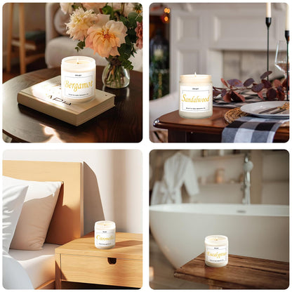 Putart Eucalyptus Mint 9oz Soy Candle | Non-Toxic, Long-Lasting