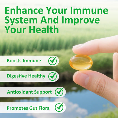 PWERD 300 Softgels: Wild Oregano Oil with Black Seed Oil – Organic