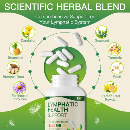 PXT Liposomal Lymphatic Drainage Immune Support Supplement, Cleanse Detox Liver Health Fluid Balance Herbal Blend with Echinacea Dandelion Burdock for Adults & Lymph Edema Sugar-Free 60 Capsules
