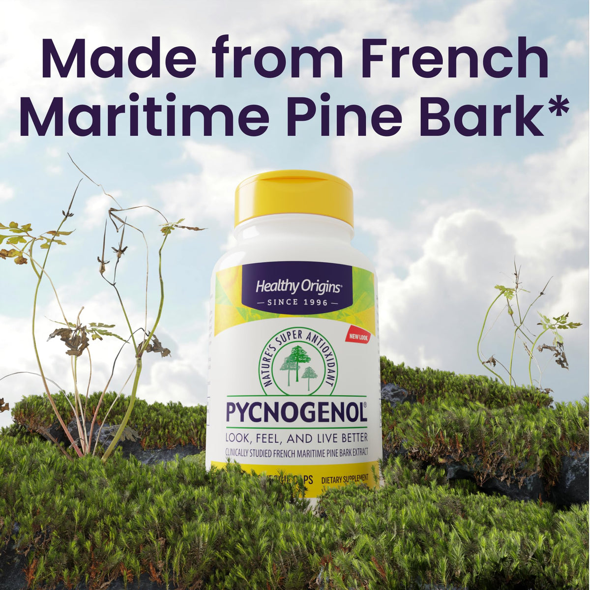 Healthy Origins Pycnogenol 150 mg – French Maritime Pine Bark Extract – 120 Veggie Capsules