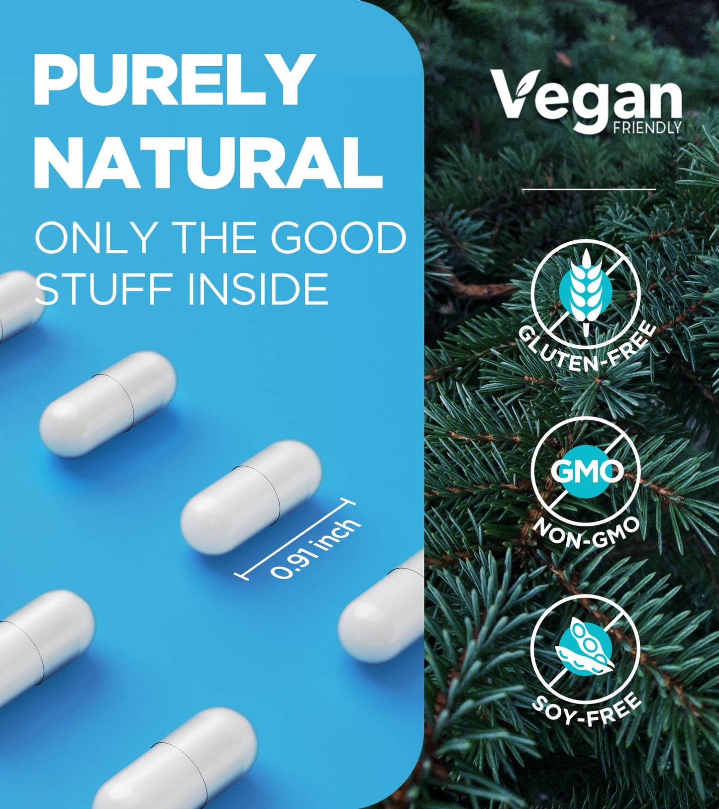 Quadruple Magnesium 400mg – Glycinate, L-Threonate, Citrate & Malate + D3 & B6 | 60 Vegan Caps