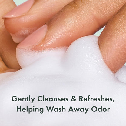 Rael Feminine Wash Foaming Cleanser for Women – Unscented, Cosmos Certified Natural (5oz, 4 Pack)