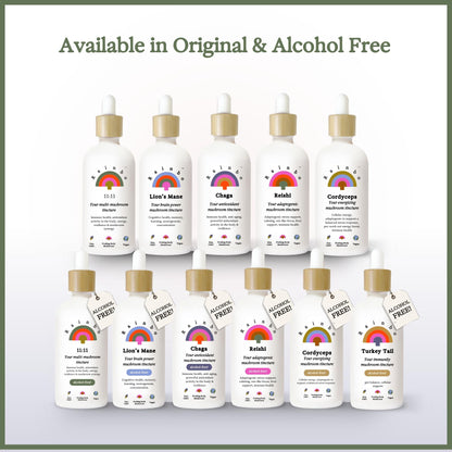 Rainbo 11:11 Multi Mushroom Tincture – 11-Mushroom Dual Extract for Immune & Brain Support, 3.4 fl oz, Vegan