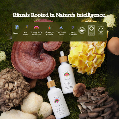 Rainbo Lion's Mane Mushroom Tincture – Alcohol-Free Dual Extract | Brain Health & Focus | Vegan 3.4 fl oz
