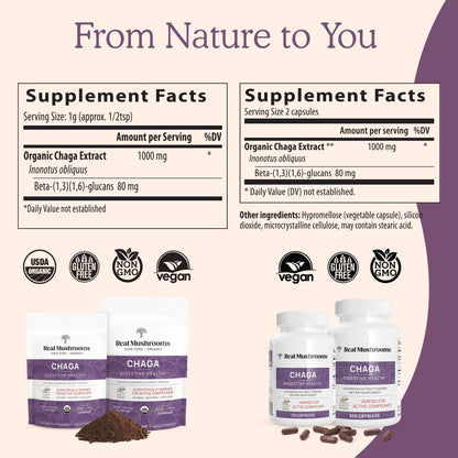 Real Mushrooms Chaga Mushroom Capsules – Organic Chaga Extract Powder with Extract Powder for Wellness & Energy Support– Vegan, Non-GMO, 120 Capsules – Organic Mushroom Supplement