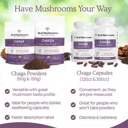 Real Mushrooms Chaga Mushroom Capsules – Organic Chaga Extract Powder with Extract Powder for Wellness & Energy Support– Vegan, Non-GMO, 120 Capsules – Organic Mushroom Supplement