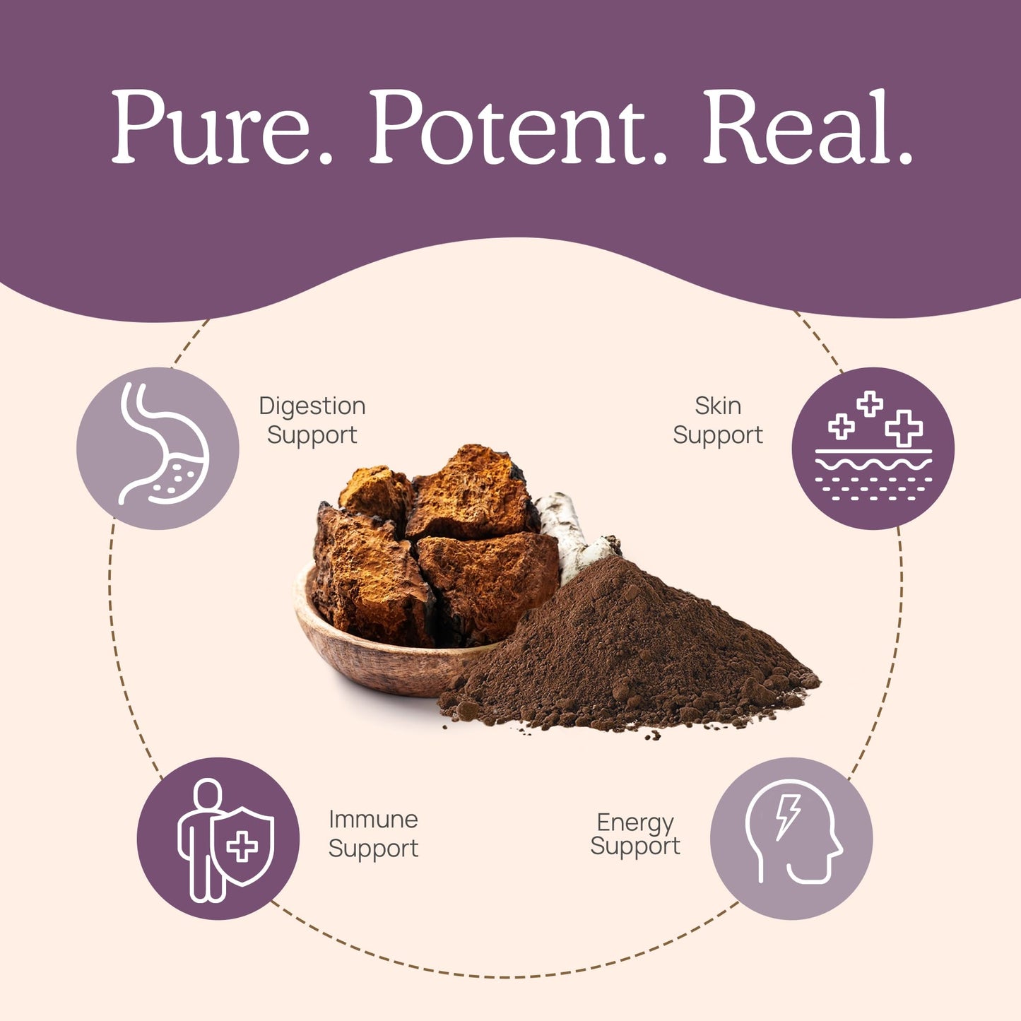 Real Mushrooms Chaga Mushroom Powder – Organic Chaga Extract (60 Servings) – Daily Wellness & Energy