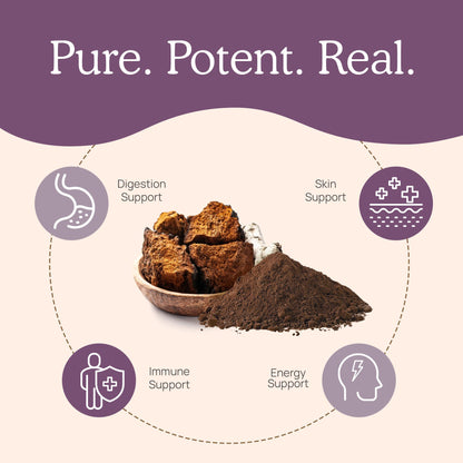 Real Mushrooms Chaga Mushroom Powder – Organic Chaga Extract (60 Servings) – Daily Wellness & Energy