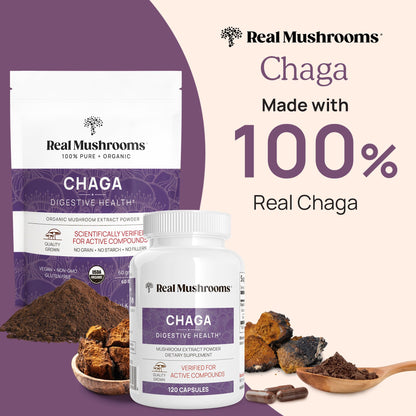 Real Mushrooms Chaga Mushroom Powder – Organic Chaga Extract (60 Servings) – Daily Wellness & Energy