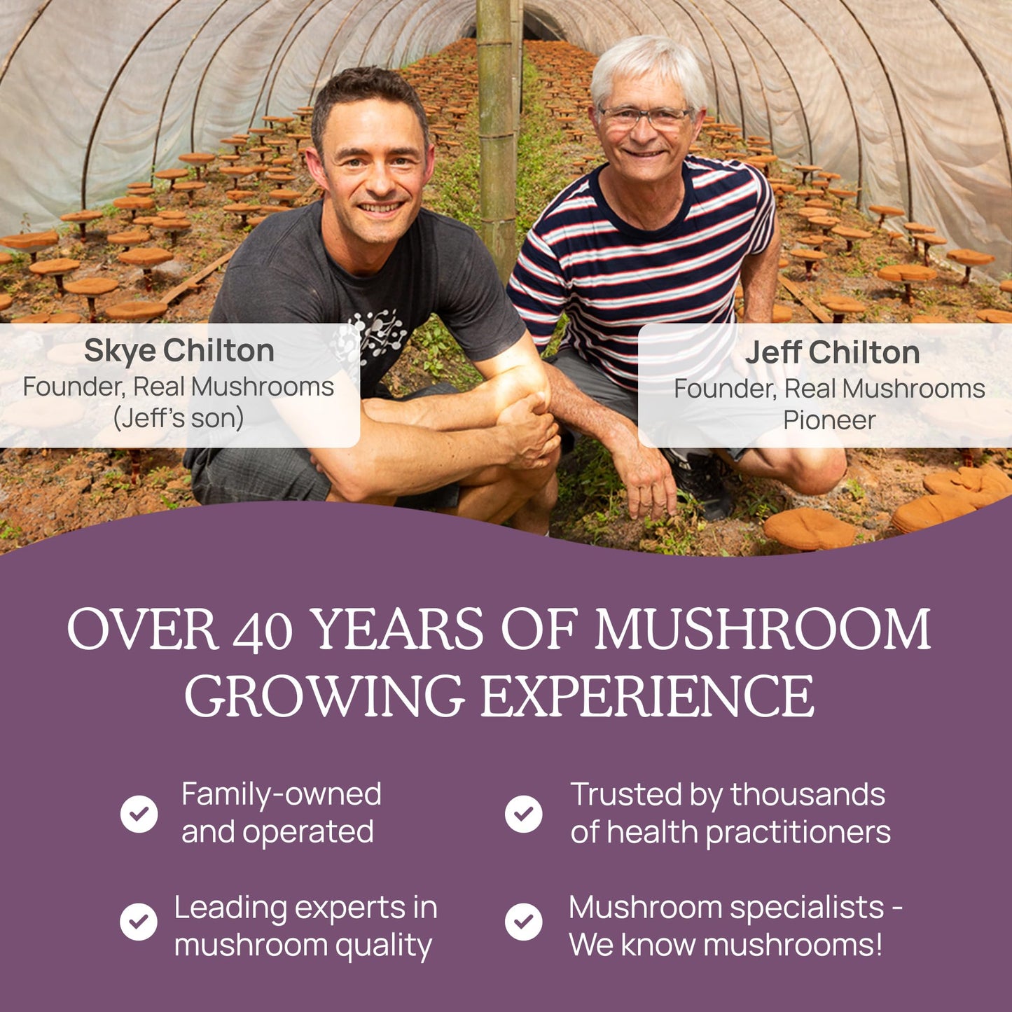 Real Mushrooms Chaga Mushroom Powder – Organic Chaga Extract (60 Servings) – Daily Wellness & Energy