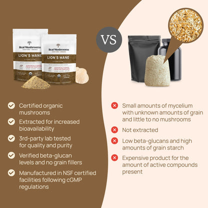 Real Mushrooms Lion’s Mane Supplement Powder – Organic Lion’s Mane Extract, 150 Servings