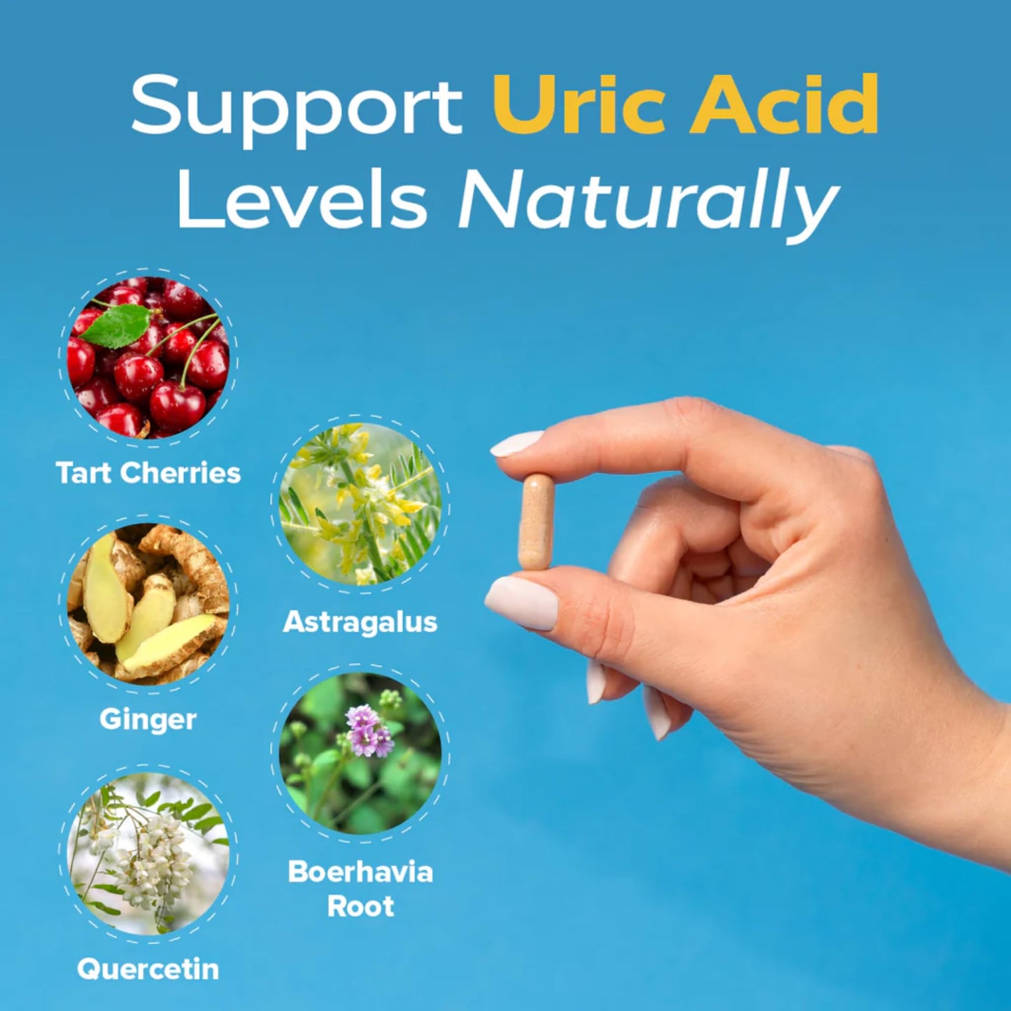 Redd Remedies Gouch! | Joint Support, Uric Acid & Inflammation | Tart Cherry & Quercetin | 60 Vegan Capsules