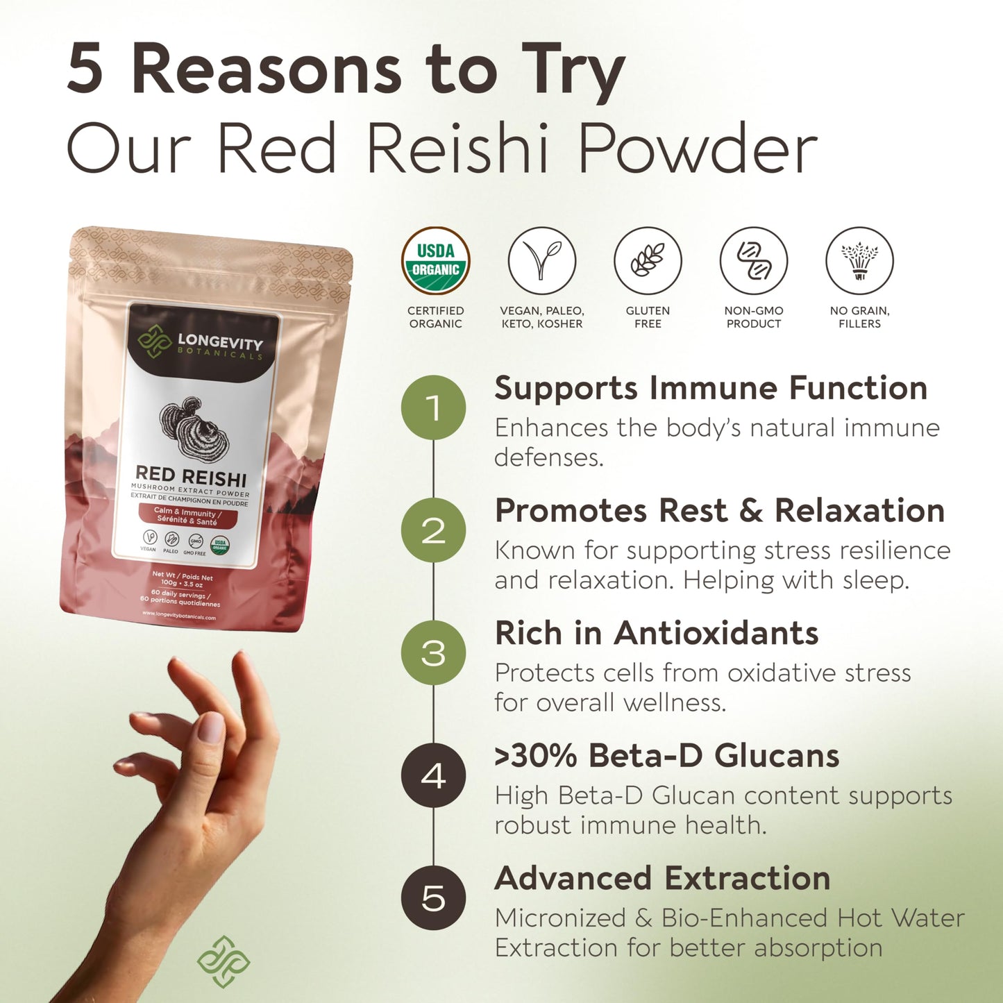 Longevity Botanicals Organic Reishi Extract Powder 100g | 10:1 Concentrate | 100% Fruiting Bodies