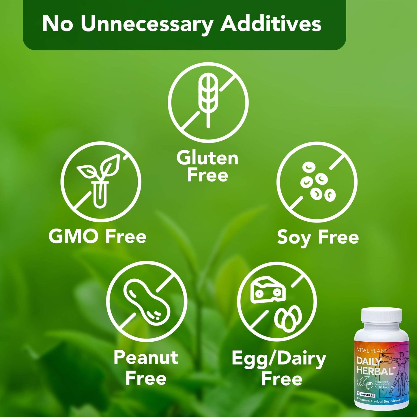 Vital Plan Daily Herbal Supplement by Dr. Bill Rawls – Immune Support, Microbiome Balance & Cell Health