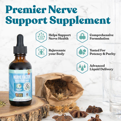 Rejuvica Health NerveFactor – Advanced Nerve Support Liquid with B Vitamins & Herbal Extracts
