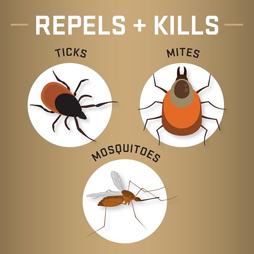 Repel Permethrin Clothing & Gear Insect Repellent – Aerosol Spray, 6.5 fl oz, Pack of 6