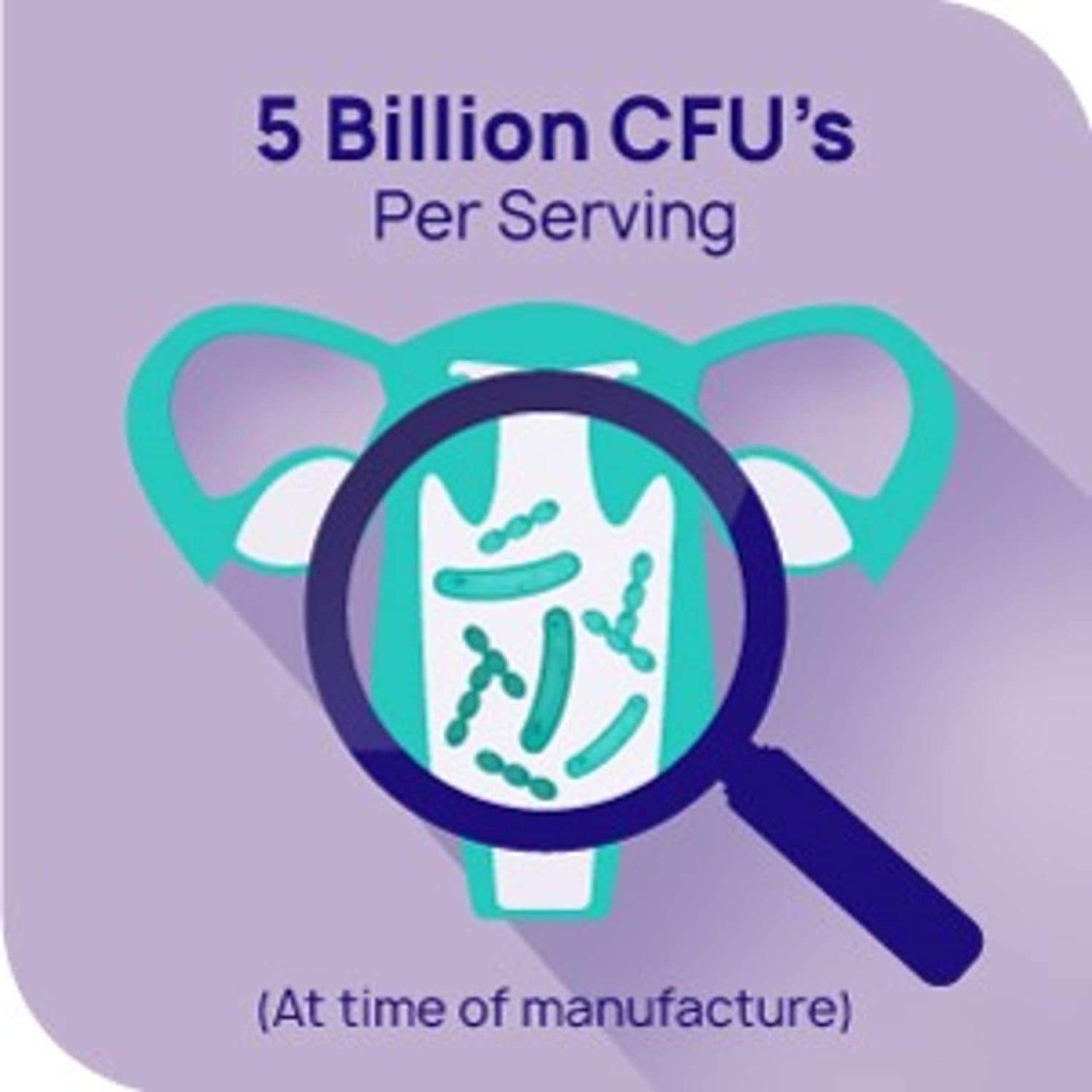RepHresh Pro-B Probiotic Feminine Supplement – 2-Pack, 30-Count Capsules