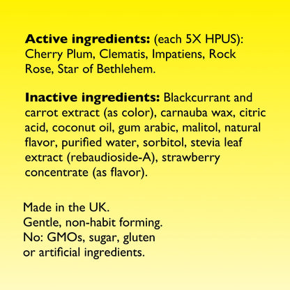 RESCUE Kids Pastilles – Natural Strawberry Stress Relief for Children | Calming Homeopathic Flower Essences