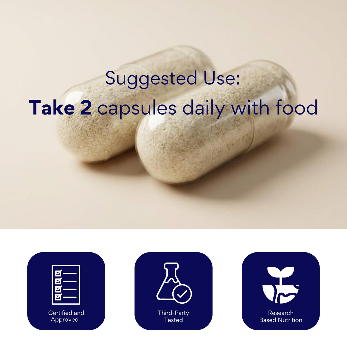 Research Verified Brain Booster – Nootropic for Memory & Focus, 180 Vegan Capsules (3 Bottles)