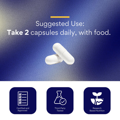 Research Verified Mushroom Complex - Immune Support, Antioxidants & Cognitive Function | 360 Vegan Capsules