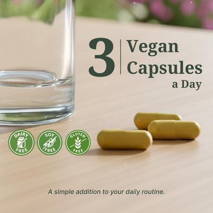 ResilienZ-12 Antioxidants Supplement – 12-in-1 Phytonutrient Complex with Meriva Curcumin Phytosome, Vitamin C, Sulforaphane, Astaxanthin, EGCG Green Tea, CoQ10 & Quercetin – 90 Vegan Capsules