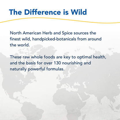 North American Herb & Spice Resp-Immune 4 oz – Immune & Respiratory Support with Black Seed, Oregano P73 Oil & Raw Honey
