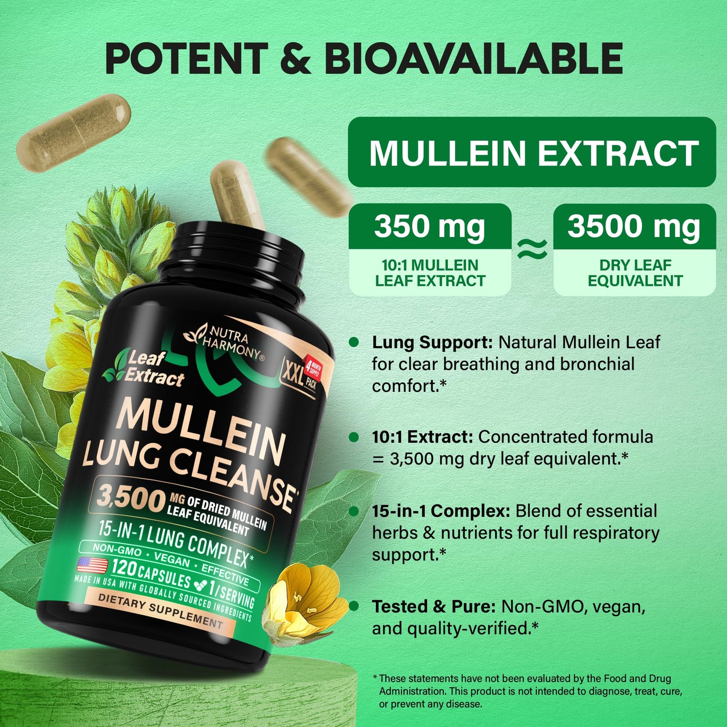 Mullein Leaf Extract for Lung Detox – 15-in-1 Lung Support (Made in USA)