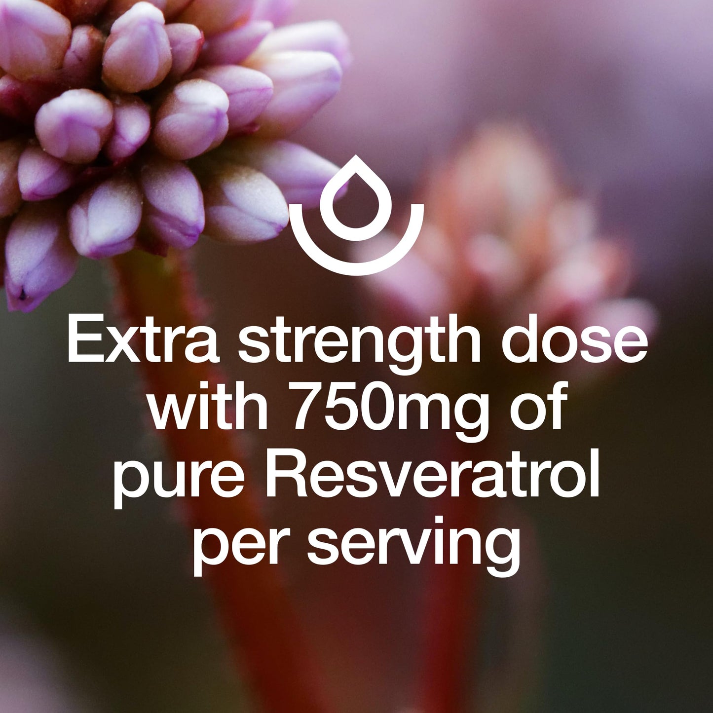 Resveratrol Supplement 750mg – Trans-Resveratrol, Extra Strength (90 Capsules, Pack of 2) – Vegan, Non-GMO, Gluten-Free